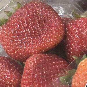 Meet your Posher, Caroline